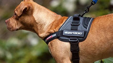 reddit best dog harness